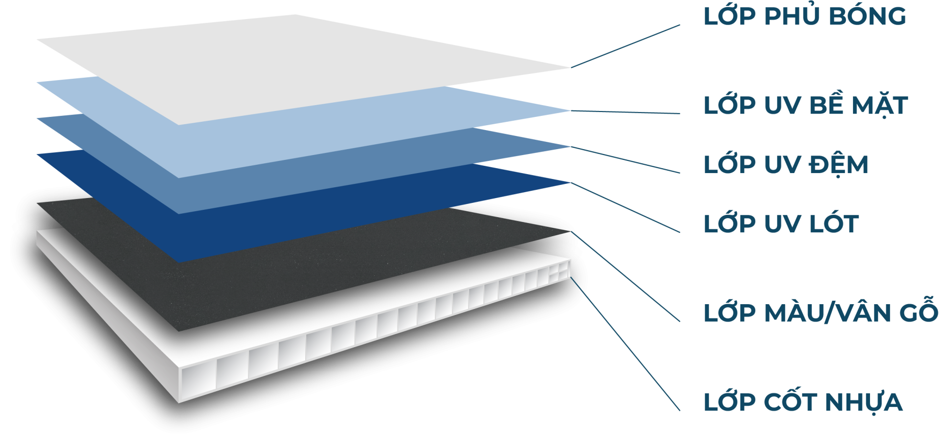 lớp phủ uv 